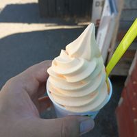Orange vegan soft serve at No Clucks!!! at No Clucks in Portland