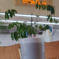 €4.90 at Blumental in Berlin