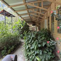 Still a bit more    at Cafe-Bazar OM in Monteverde