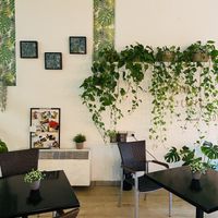 Interno  at Bar Jonathan in Modena