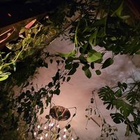  at Torggata Botaniske in Oslo