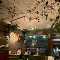 Interior   at Torggata Botaniske in Oslo