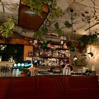 Bar   at Torggata Botaniske in Oslo