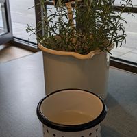  at Swing Kitchen in Munich