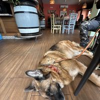   at Querida Nieta in Malaga