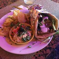 Vegan gyro special  at Green Erth Bistro in Jacksonville