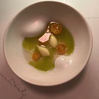   at Astera in Portland