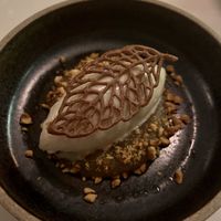   at Astera in Portland