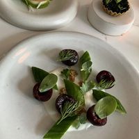   at Astera in Portland