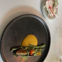   at Astera in Portland