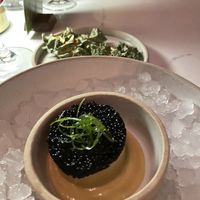   at Astera in Portland