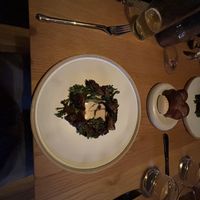   at Astera in Portland