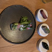   at Astera in Portland