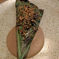  at Astera in Portland