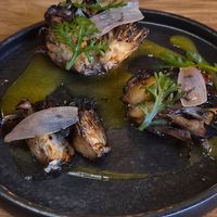  at Astera in Portland