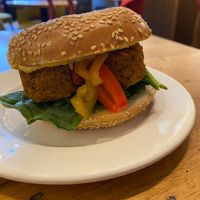 Bagel falafel and hummus at Costa Coffee in Krakow