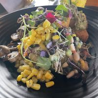   at Papa Mo's in Papamoa