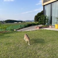 She lives here   at Heewarae Coffee Roasters- 희와래  in Incheon