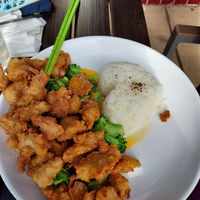 Tangerine at Plumeria in San Diego