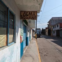  at Alma Vegana in Chignahuapan