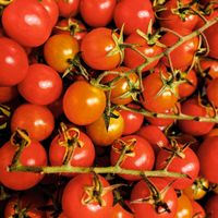  at Wedde.bio Bioladen Warburg in Warburg