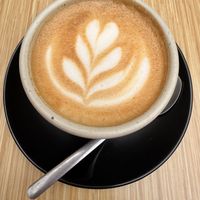 Oat milk cappuccino with their Ethiopian bean    at Mistral Coffee House in Mallorca