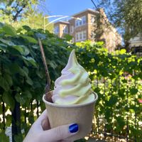 Sweet Corn/Guava swirl (regular size)  at VACA'S in Chicago