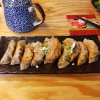 Gyozas at Tokyo Tapas in Zurich