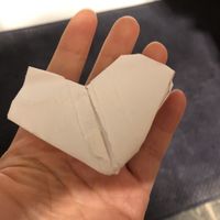 Thank you😄the heart from the little girl😄 at Annam Brahma in Jamaica