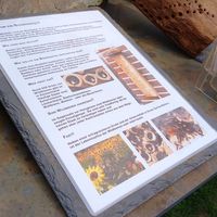 info zu bienenhotels at Die MonRo Ranch - Der Lebenshof in Moenchengladbach