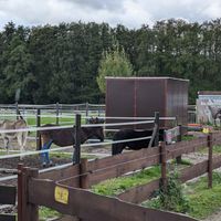   at Die MonRo Ranch - Der Lebenshof in Moenchengladbach