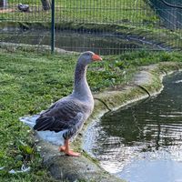   at Die MonRo Ranch - Der Lebenshof in Moenchengladbach