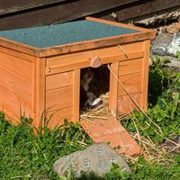   at Die MonRo Ranch - Der Lebenshof in Moenchengladbach