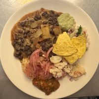 Main   at Maastricht goes Vegan in Maastricht