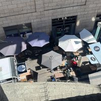  at Curry Rico in Cologne