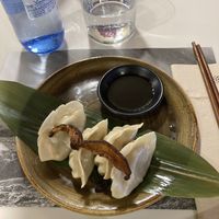 Vegan gyozas  at UDON - Viapol in Sevilla