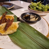 Gyoza mit Gemüse und Edamame als Vorspeise at UDON - Viapol in Sevilla