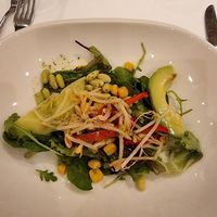 Salad at Vegan Travel - Vegan Cruises & Tours in Muenster