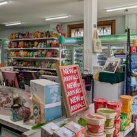 Interior at Vegan Grocery Store in Sydney
