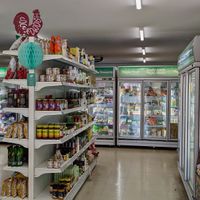 Interior at Vegan Grocery Store in Sydney