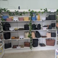  at Vegan Grocery Store in Sydney