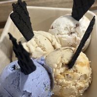 Sampler flight: Home Planet, Praline, Vanilla Bean Caramel, and Guava Panetela #Veganuary at Via Lactea Scoop Shop in San Juan