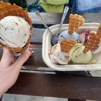 Mylk and cookies in the freshly made waffle cone.
In the flight from top-left clockwise: homeplanet (matcha cake), peanut butter & berries, pistachio almond, guava cake at Via Lactea Scoop Shop in San Juan