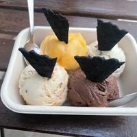 Went back the next day to try other flavours; top left clockwise: passion fruit sorbet, hazelnut, dark chocolate, praline. at Via Lactea Scoop Shop in San Juan