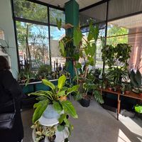  at Botanical Cafe in Chicago