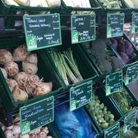 Fresh vegetables at Sequoia - Place Dumon in Brussels