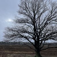 Outside  at Restaurant café Heidezicht in Bussum