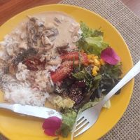 Seitan Mushroom Stroganoff at Gira Sol in Tomar