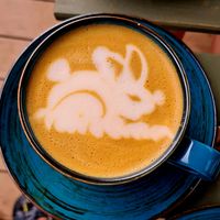 Latte at Kawastrofa in Wroclaw