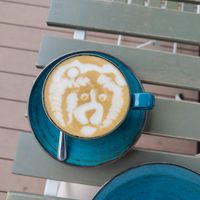 Coffee art at Kawastrofa in Wroclaw